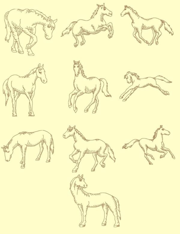 Horses Redwork & Trapunto design collection