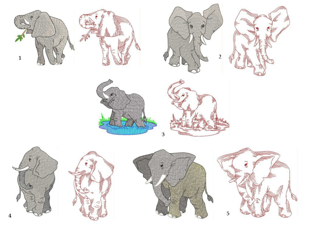 Elephants Collection, white background