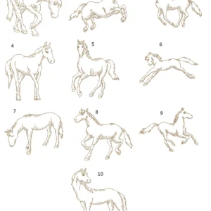 Horses RW numbered collection